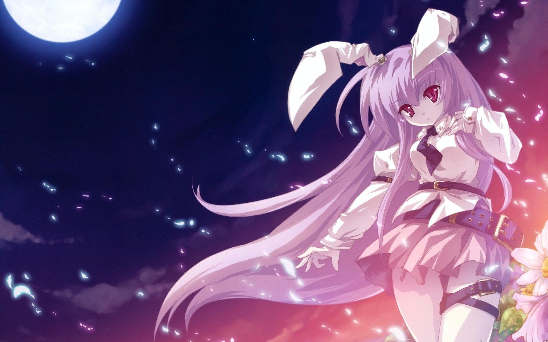 動漫展業(yè)拓展