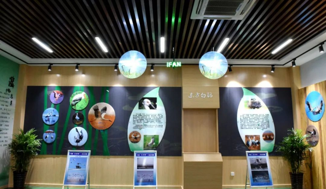 展館設(shè)計(jì) ， 展館 ， 鑫時(shí)空