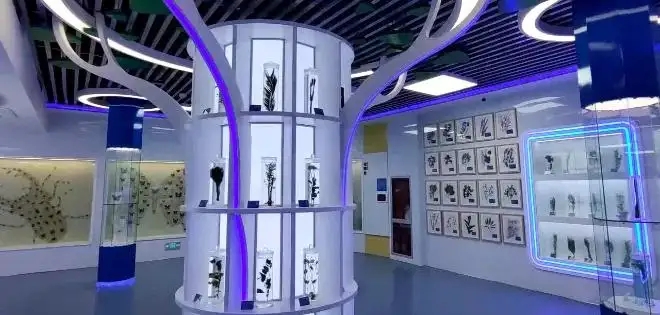 展會設(shè)計 , 展會 , 鑫時空